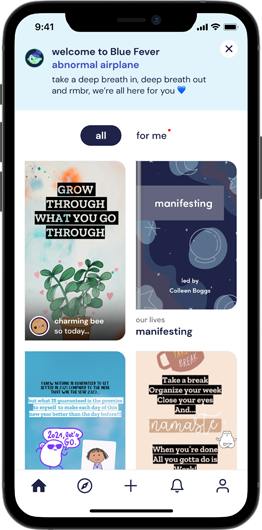 home-feed-wphone-262
